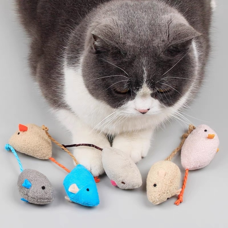 لعبة قطة قطيفة ناعمة وتفاعلية  - مراجعة Catnip Interactive Plush Mouse وسعره