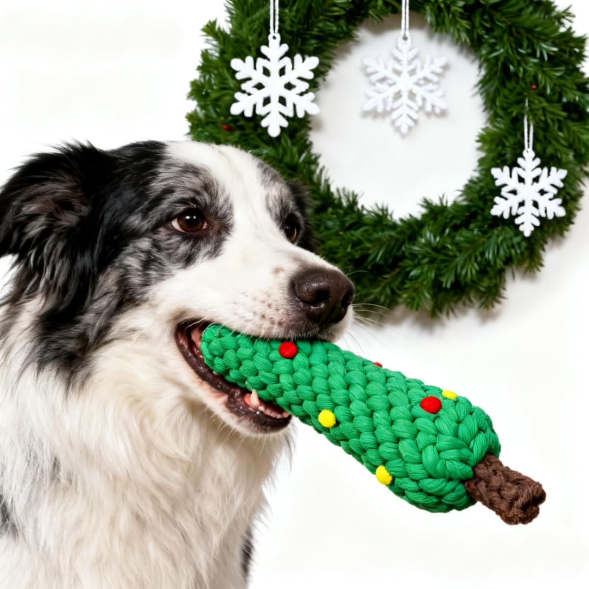 ألعاب قطنية للكلاب لتنظيف أسنا - مراجعة Teeth Cleaning Dog Chew Bone وسعره
