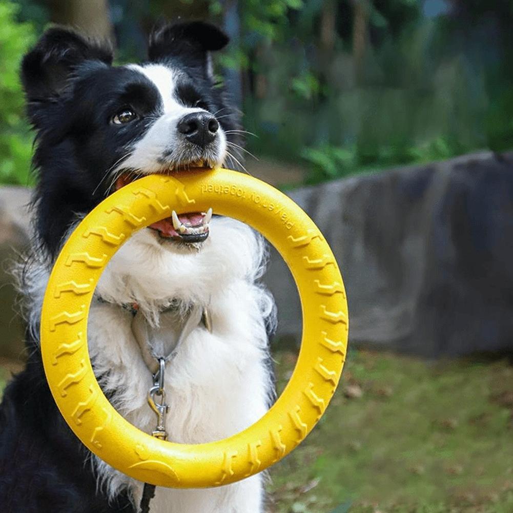 ألعاب خواتم للكلاب، غير قابلة  - مراجعة Indestructible Dog Chew Toy وسعره